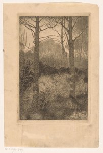 Bordo del bosco da Jan Mankes