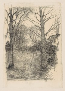 Bosrand da Jan Mankes