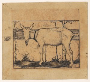Capra sul bordo del fossato da Jan Mankes
