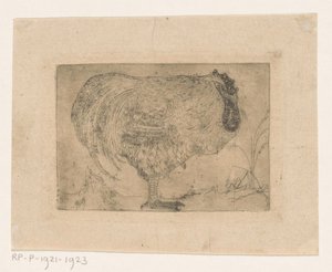 Gallo rannicchiato da Jan Mankes