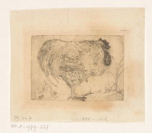 Gallo rannicchiato da Jan Mankes