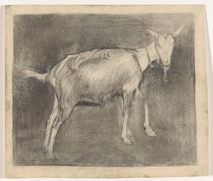 Capra in piedi da Jan Mankes