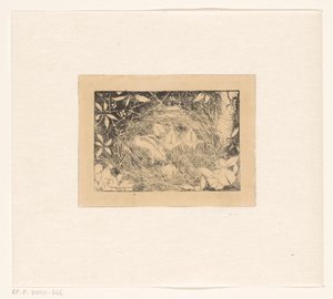 Nido di uccelli da Jan Mankes