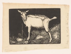 Capra bianca da Jan Mankes