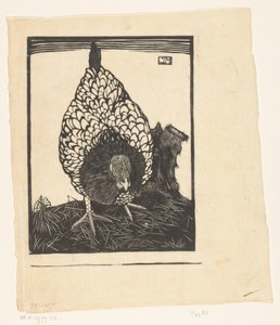 Zilverwyandotte da Jan Mankes