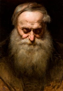 Testa di un vecchio con barba grigia