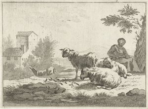 Pastorella con gregge di pecore da Jan Matthias Cok