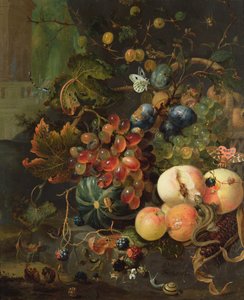 Natura Morta di Frutta e Insetti da Jan Mortel