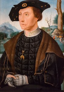 Ritratto di Jan van Wassenaer visconte di Leida, governatore della Frisia da Jan Mostaert