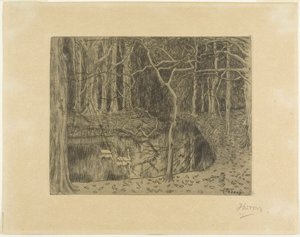 Bosco con stagno e cigni