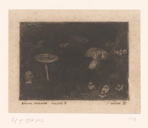 Funghi