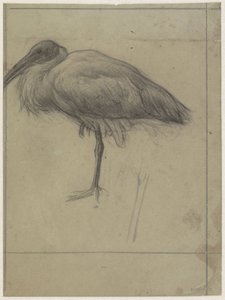 Paesaggio Buitenzorg da Jan Veth