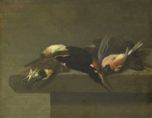Uccelli morti