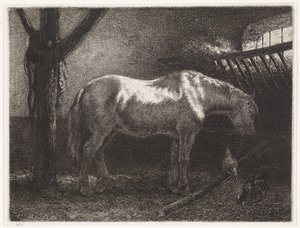 Cavallo nella stalla