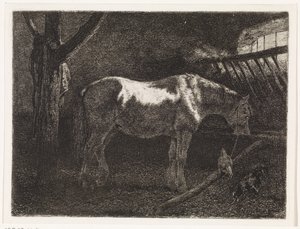 Cavallo nella stalla da Johannes Martinus Vrolijk