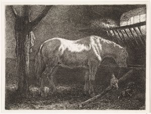 Cavallo nella stalla