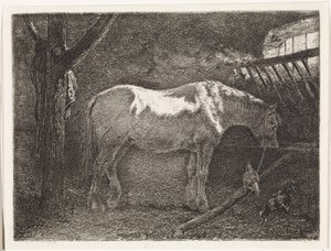Cavallo nella stalla da Johannes Martinus Vrolijk