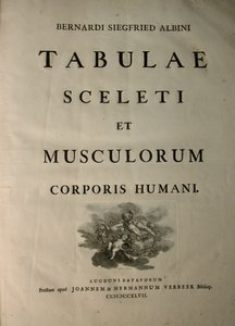 Albinus I, Pagina del titolo, da 