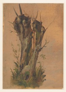 Salice piangente da Jan Weissenbruch