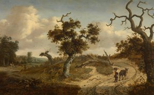 da Jan Wijnants