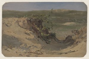 Duna da Jan Willem van Borselen