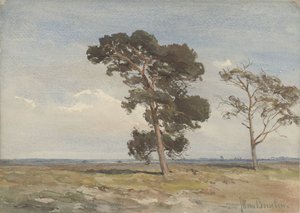 Vista sulla brughiera con due alberi da Jan Willem van Borselen