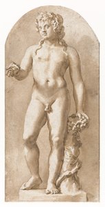Giovane Bacco in piedi da Jan de Bisschop