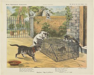 Il topo e il gatto