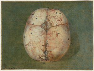 Stampe del cervello e del cuore da Jan l