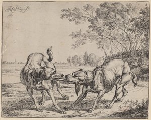 La carne contesa