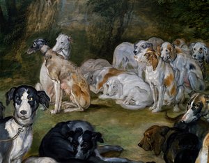 Cani (dettaglio) da Jan the Elder Brueghel
