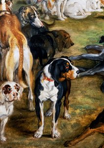 Cani (dettaglio) da Jan the Elder Brueghel