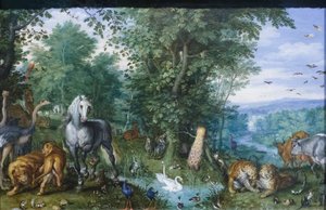 Il giardino dell