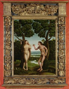 Adamo ed Eva da Jan van (attr. to) Scorel