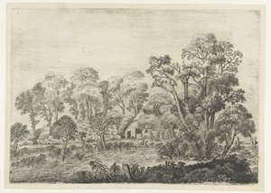 Paesaggio con fattoria vicino a uno stagno da Jan van Brosterhuyzen
