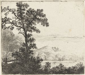 Paesaggio con albero vicino a una riva del fiume da Jan van Brosterhuyzen