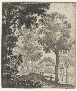 Paesaggio con grande albero in primo piano da Jan van Brosterhuyzen