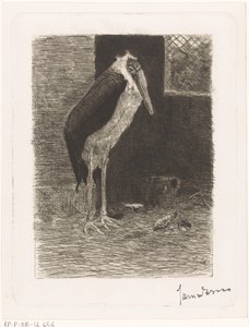 Marabù