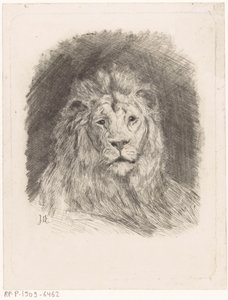 Testa di leone da Jan van Essen