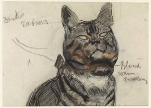 Gatto, con annotazioni di colore da Jan van Essen
