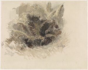 Felce reale in un giardino a Scherpenzeel da Jan van Essen
