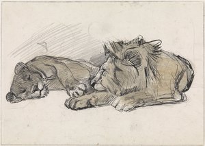 Leone e leonessa sdraiati da Jan van Essen