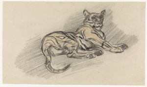 Tigre sdraiata, verso destra da Jan van Essen