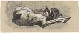 Cane dormiente, verso destra da Jan van Essen