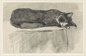 Gatto che dorme da Jan van Essen