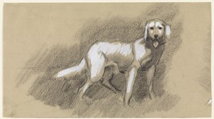 Cane in piedi da Jan van Essen