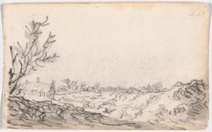 Un paesaggio di dune da Jan van Goyen