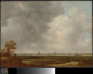 Veduta panoramica di un fiume con prati bassi da Jan van Goyen