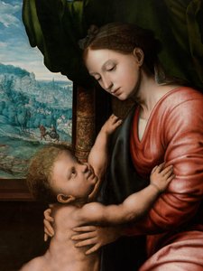 (dettaglio) della Vergine con Bambino da Jan van Hemessen