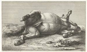 Cavallo caduto sdraiato sul fianco sinistro da Jan van Huchtenburg